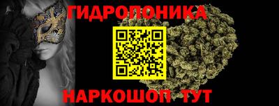 спиды Шебекино