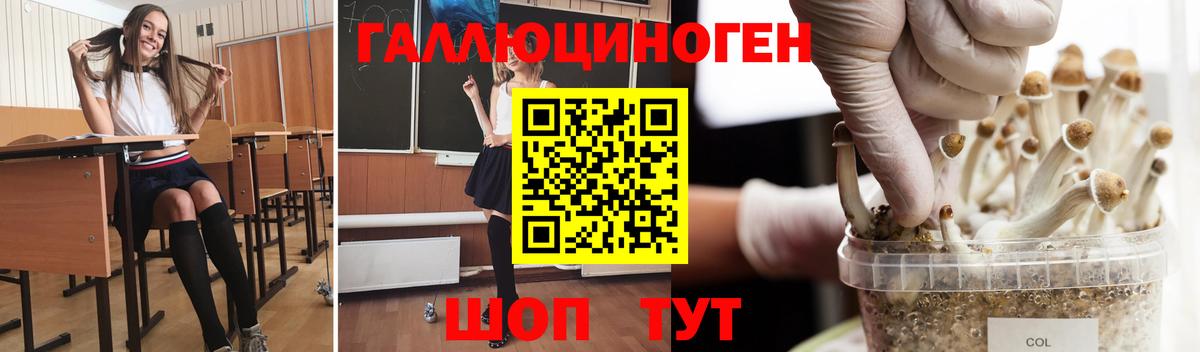 наркотики  Псилоцибиновые грибы MAGIC MUSHROOMS  Вход с VPN  Волгоград  Галлюциногенные грибы мухоморы 
