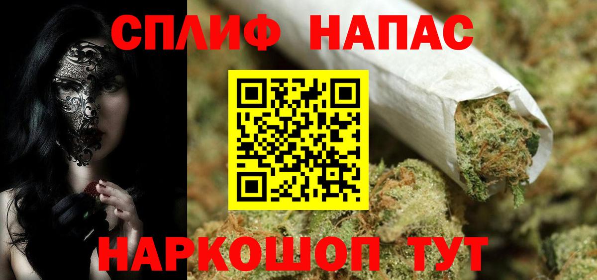 Марихуана сатива Волгоград